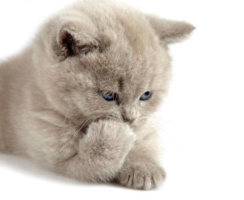 ǰ11¹ҵҵʵ57445Ԫ ͬ2.4%